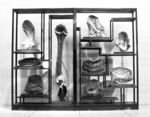 �T�׵���Ʒ���ղ�����֮���������\(y��n)���˾C�ϲ��ϣ���չ�˂��y(t��ng)�ĵ����Z��