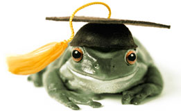 叢林的動(dòng)物兵法與營銷謀略圖片