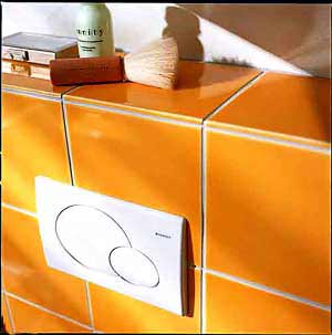 嵌在墻上的馬桶沖水按鈕實際上是檢修口