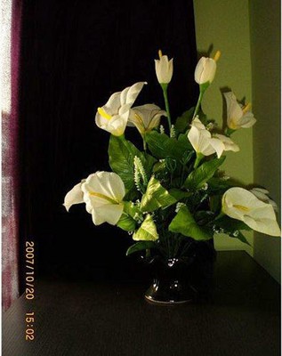 100ƽ����ɫƯ��С��(f��)ʽ