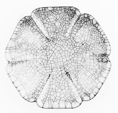 δGڹʌmܵpһ£ʌmԺkͨ^ýwf