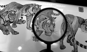 老虎身上的毛發(fā)根根可見(jiàn)