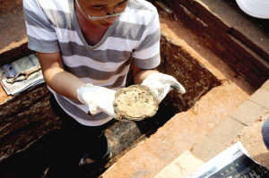 新造秀發(fā)村發(fā)現(xiàn)宋代古墓