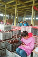 312xЕxմ޹˾a(chn)܇(ch)gڼӾoa(chn)ԓ˾ͶY12|Ԫծa(chn)ƾ2f(wn)֧a(chn)ֵ_(d)σ|ԪҪa(chn)(li)иߙnƿƾ2016ԓ˾ȫ(gu)صӆ_(d)6000f(wn)Ԫ(dng)500˾͘I(y)ա