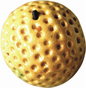 圖2 比芝麻還細小的支釘痕跡