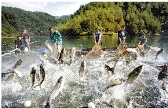 ɶȪ̽ش퍄 ǧŽz·