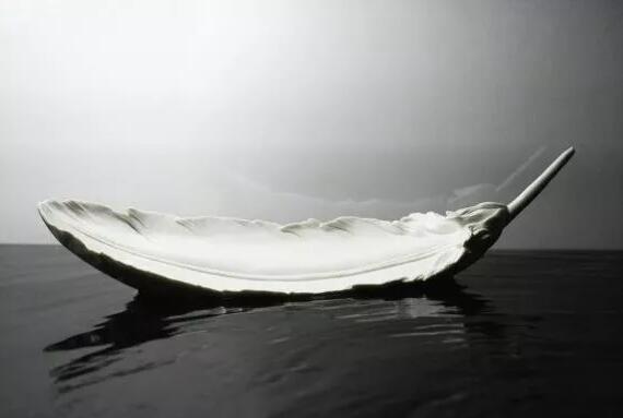 XϮԺʳʬF(xin)“Ї”̽(dng)Zµĵ»״ˇg(sh)