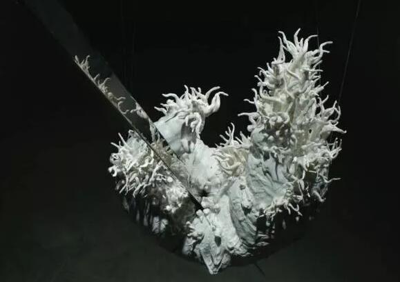 XϮԺʳʬF(xin)“Ї”̽(dng)Zµĵ»״ˇg(sh)